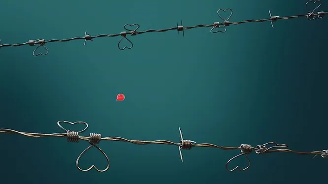 Нажми и смотри