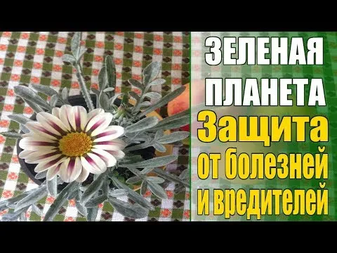 Нажми и смотри Нажми и смотри