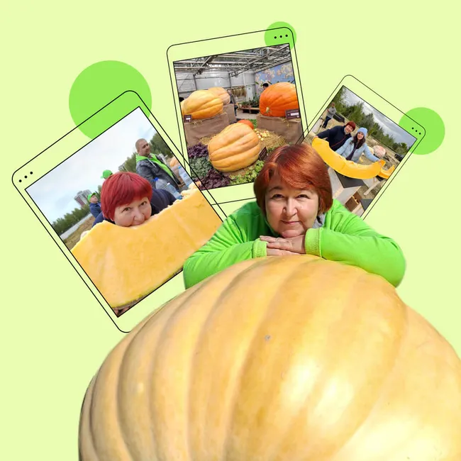 300 кг — это не предел: огородный блогер рассказывает, как вырастить гигантские тыквы