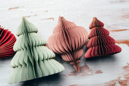 «Голая», бумажная и ещё 5 модных ёлок в 2025 году. За ними уже охотятся! «Голая», бумажная и ещё 5 модных ёлок в 2025 году. За ними уже охотятся!