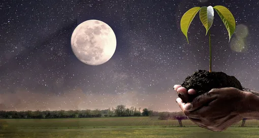 лунный календарь садовода огородника на июль 2022 лунный календарь садовода огородника на июль 2022