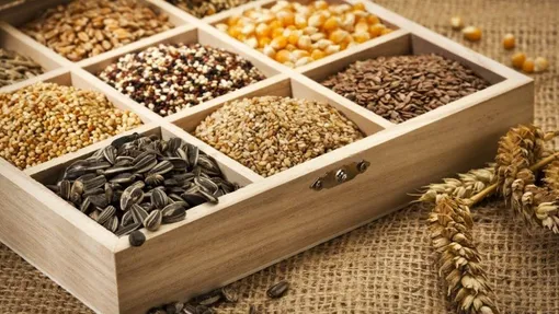 Условия хранения семян