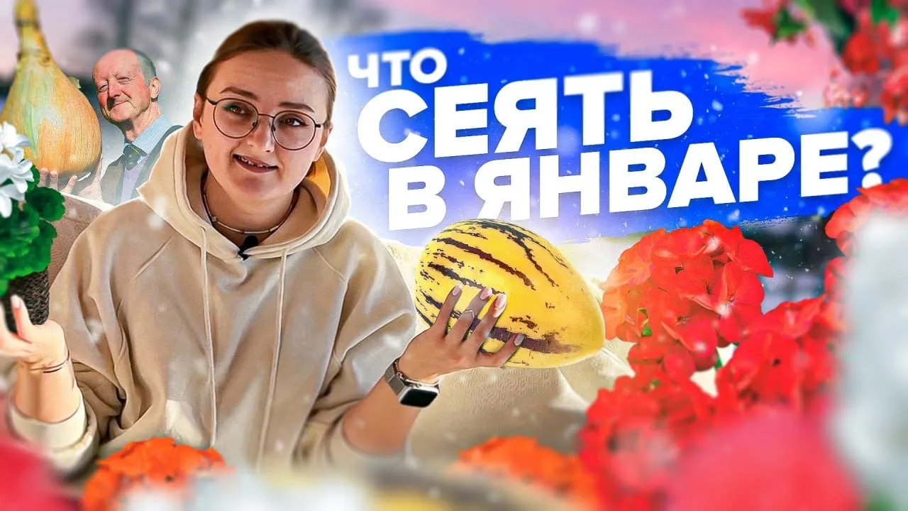 Нажми и смотри