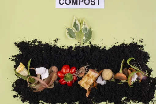 Компост без лишних усилий: 6 верных способов ускорить компостирование Компост без лишних усилий: 6 верных способов ускорить компостирование