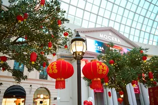 Московский парк аттракционов проведет праздничную программу в честь Китайского Нового года Московский парк аттракционов проведет праздничную программу в честь Китайского Нового года