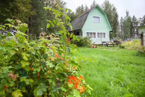 Как защитить урожай в жару фото Как защитить урожай в жару фото