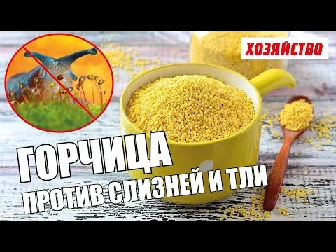 Нажми и смотри