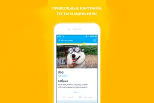 Upmind – уникальное приложение для изучения иностранных языков