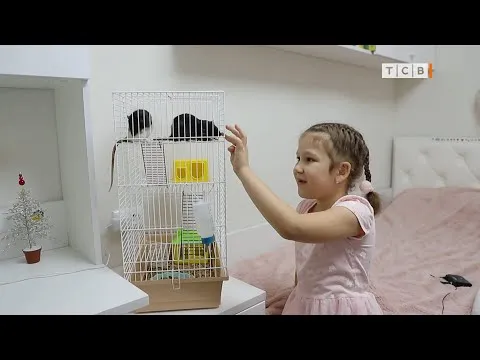 Нажми и смотри Нажми и смотри