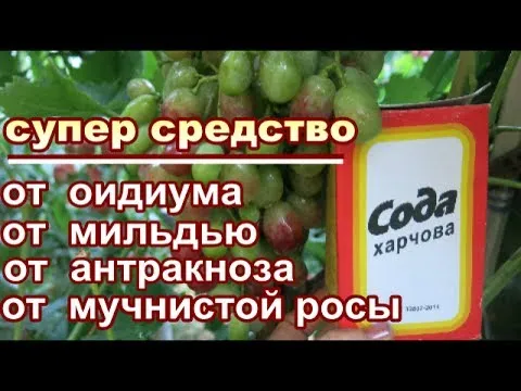 Нажми и смотри