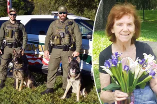 90-летняя женщина удивила семью, оставив огромное наследство полицейским собакам