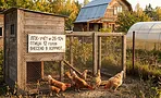 С 1 сентября куры и кролики на даче под учётом: сколько можно держать, какой штраф и нужно ли нести птицу в МФЦ С 1 сентября куры и кролики на даче под учётом: сколько можно держать, какой штраф и нужно ли нести птицу в МФЦ
