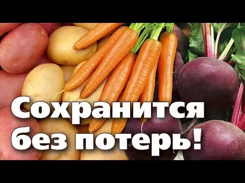 Нажми и смотри