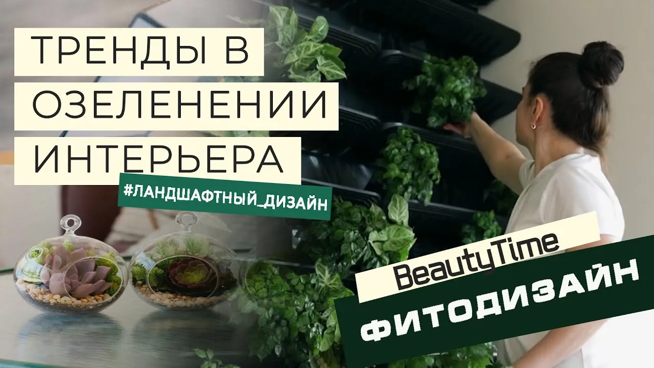 Нажми и смотри