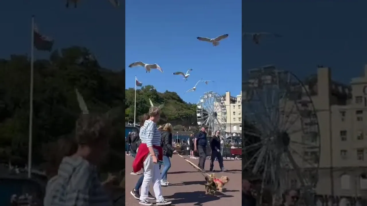 Нажми и смотри Нажми и смотри