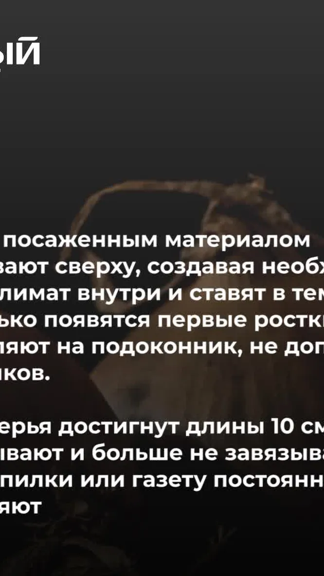 Нажми и смотри