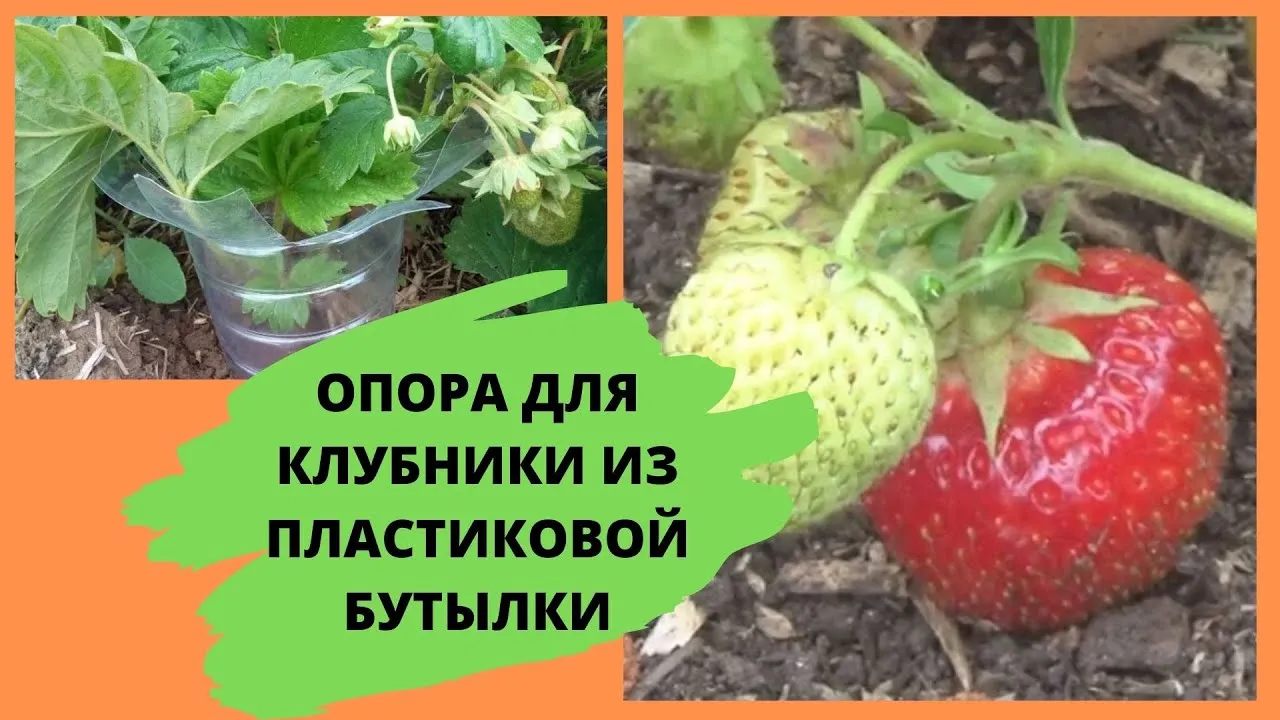 Нажми и смотри