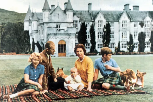 В королевской семье любят не только собак В королевской семье любят не только собак