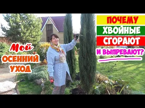 Нажми и смотри