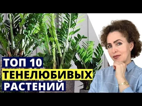 Нажми и смотри