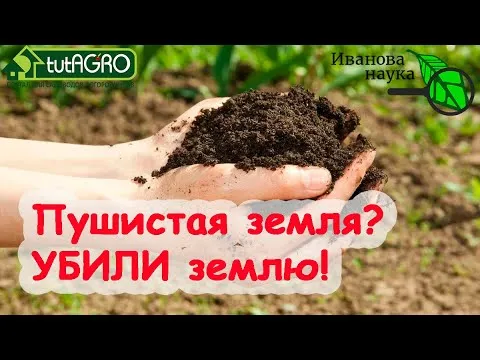 Нажми и смотри