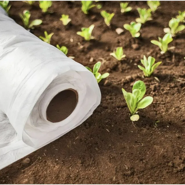 Мульча на апрель 2026: три варианта до 50₽ за квадратный метр с маркетплейсов