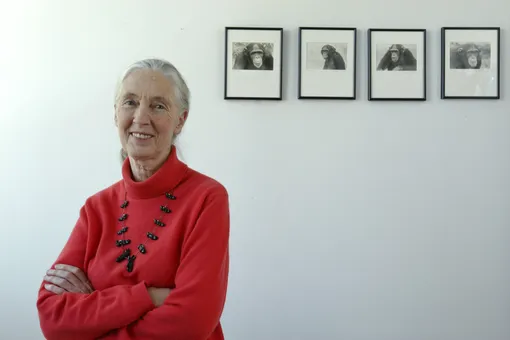 Netflix запустил проект с посмертными интервью знаменитостей. Посмотрели первое