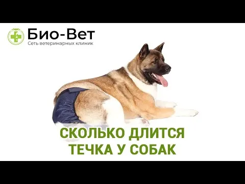 Нажми и смотри