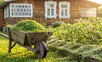 Куда деть скошенную траву на даче: 6 способов применения от мульчи до тёплых грядок Куда деть скошенную траву на даче: 6 способов применения от мульчи до тёплых грядок