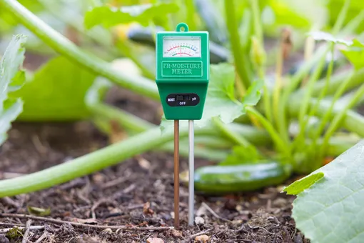 Задержка роста, вянущие листья, отсутствие цветов: 6 проблем, причина которых кроется в качестве почвы Задержка роста, вянущие листья, отсутствие цветов: 6 проблем, причина которых кроется в качестве почвы