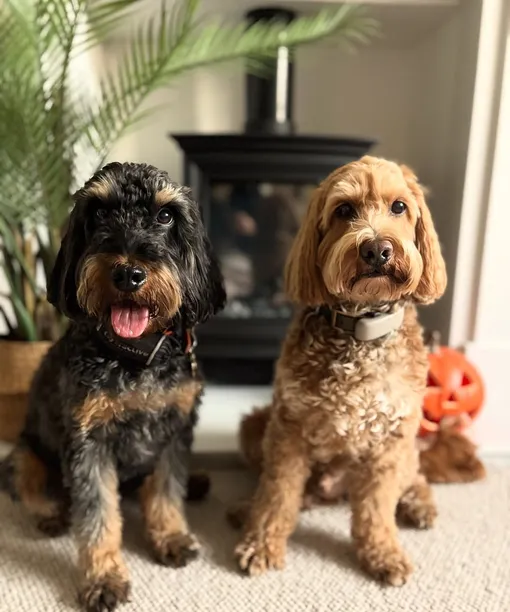 Кокапу Кокапу