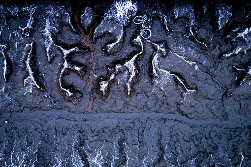 Велосипедные приливы / Победитель в категории «De lage landen»