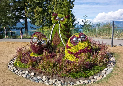 Скульптуры из растений давно вышли из моды Скульптуры из растений давно вышли из моды