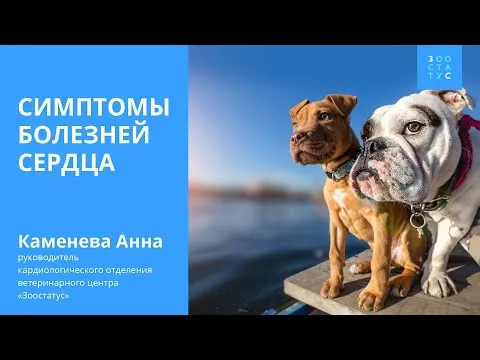 Нажми и смотри