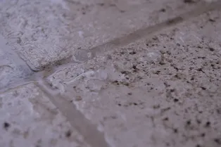 Ожидайте грозу: синоптики дали прогноз на пятницу