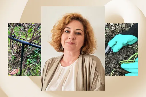 Дневник дачницы: 5 бесполезных садовых приспособлений, на которые я зря потратила деньги