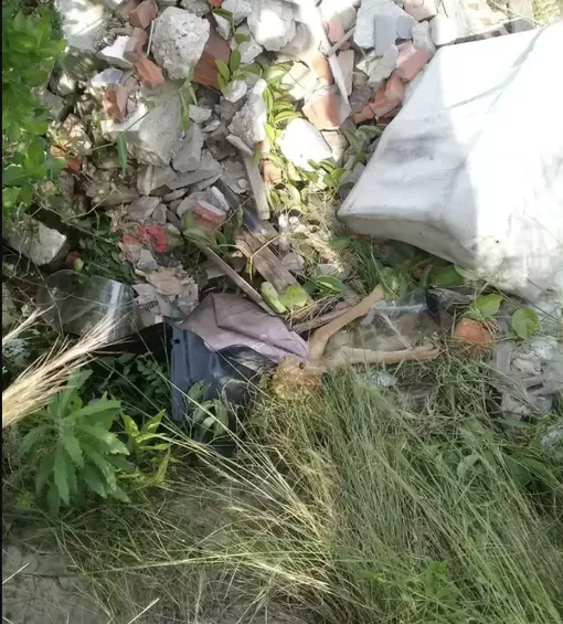 чудесное спасение собаки чудесное спасение собаки