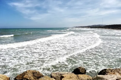 «Самый красивый морской убийца»: популярные курорты закрыли из-за нашествия синих драконов «Самый красивый морской убийца»: популярные курорты закрыли из-за нашествия синих драконов