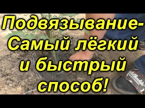 Нажми и смотри