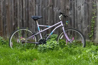 Дачникам рассказали, чем грозит закопанный на участке мусор Дачникам рассказали, чем грозит закопанный на участке мусор