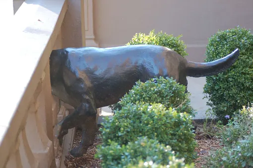 памятник собаке