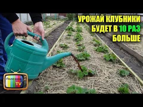 Нажми и смотри Нажми и смотри