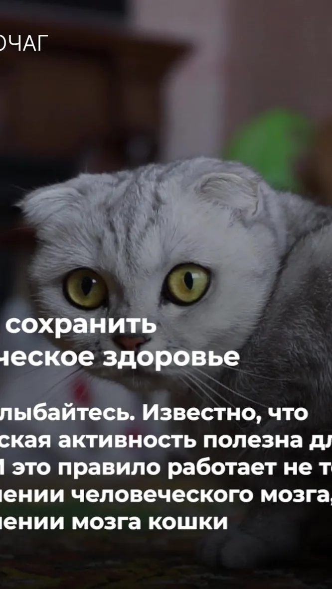 Нажми и смотри