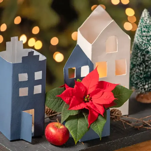 Веселье с вырезками