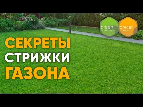 Нажми и смотри