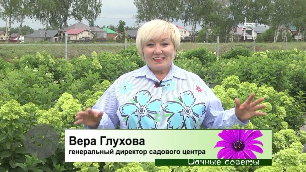 Нажми и смотри