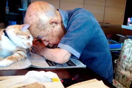 Кошка, которая вернула любовь к жизни Кошка, которая вернула любовь к жизни