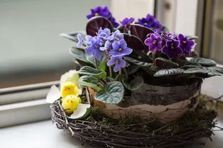 Пасхальное гнездо — отличный подарок своими руками! Пасхальное гнездо — отличный подарок своими руками!