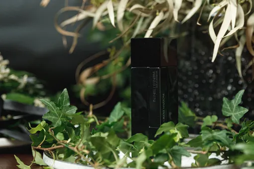 «Бесконечное совершенство» теперь и в России