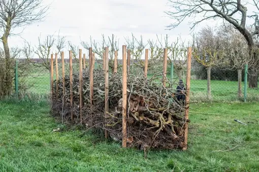 На что обратить внимание при создании мёртвой изгороди